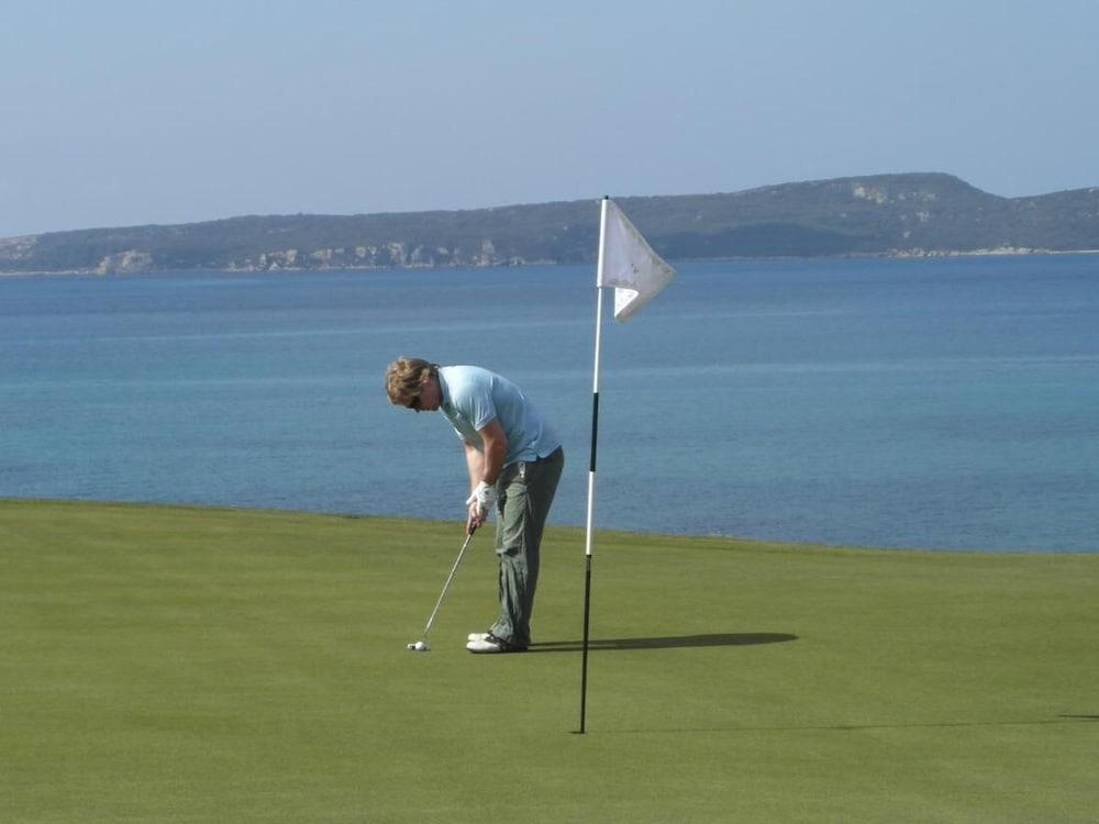 The Olive Grove Tsapi