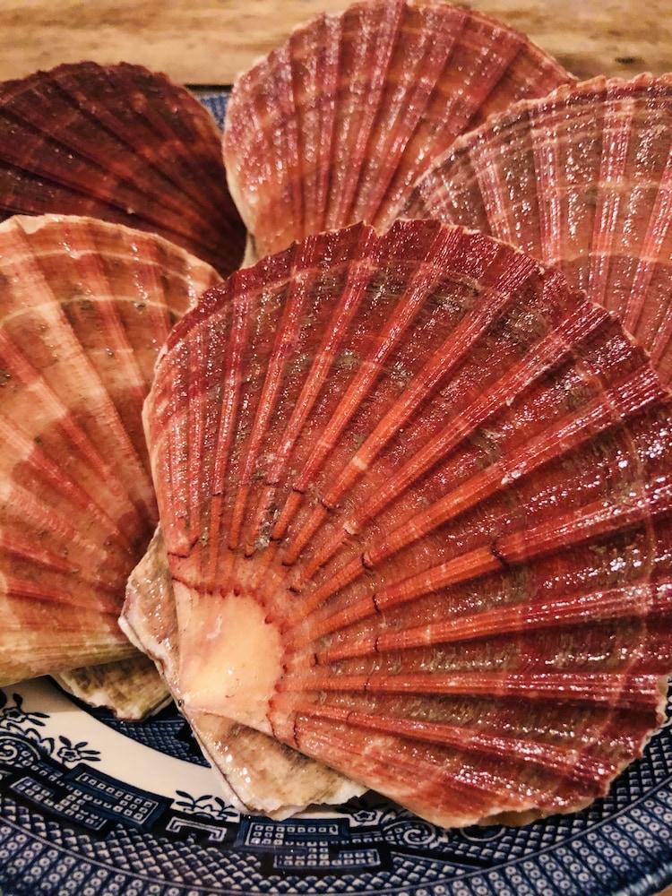 Kirkapol Beach Pod Sleeps 2 With Views