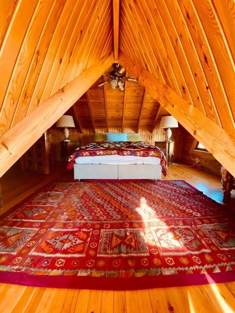 Artistic Villa With Private Pool, Bodrum, Turkey