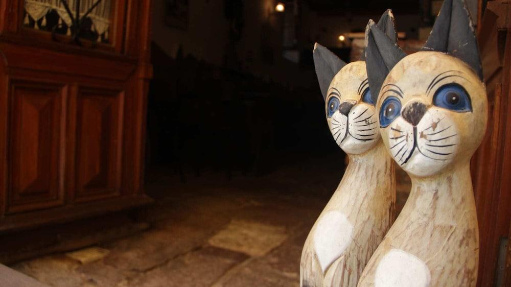 Ayfada Cafe&Pansiyon