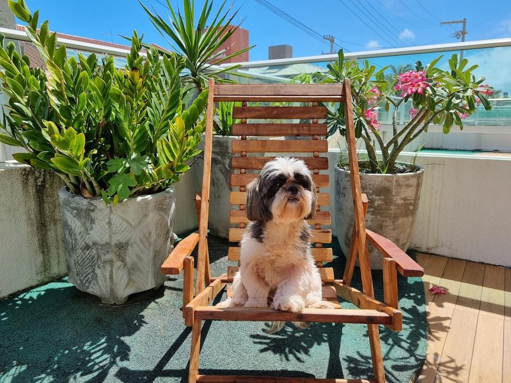 Areias do Mar | 2 Quartos Garden Familia A113