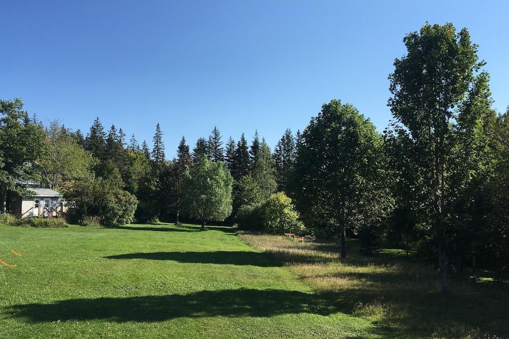 Willow Retreat - Campsite