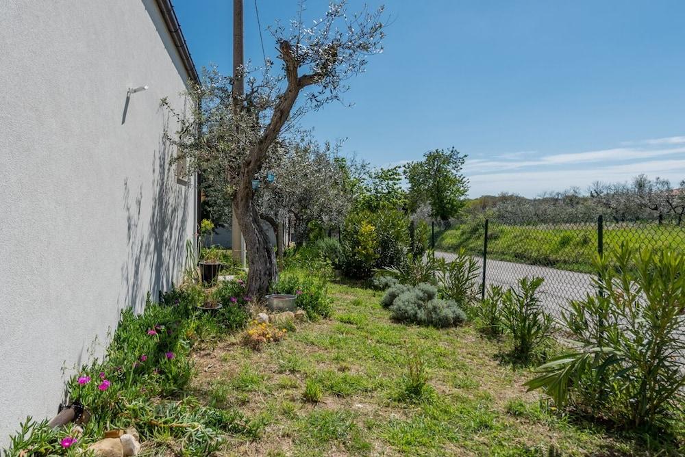 Residenza Verdeoliva