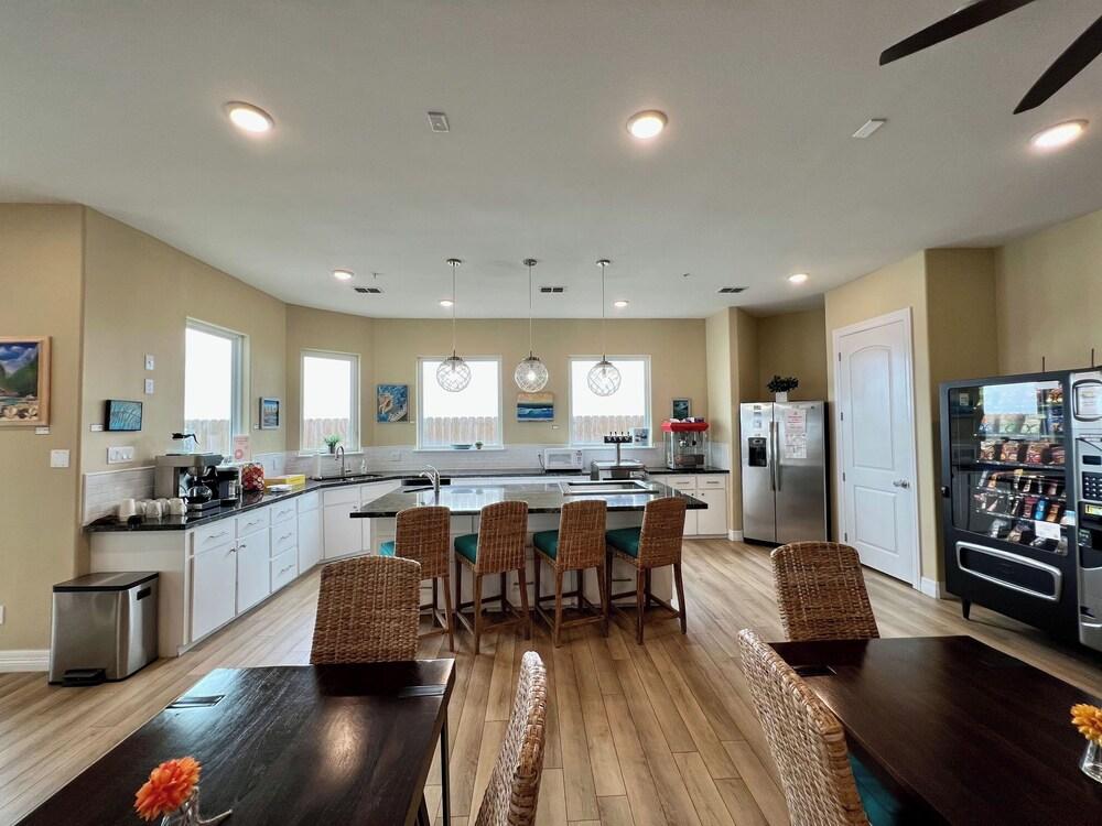 Whale, Hello There-15113