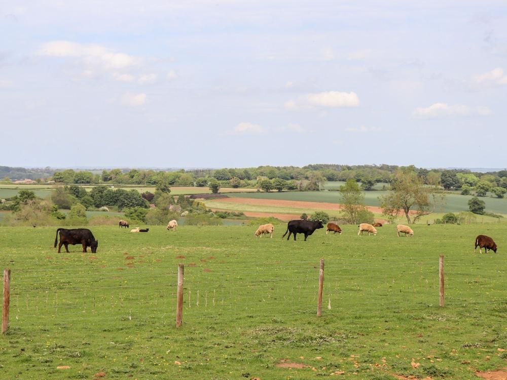 The Happy Valley Pod