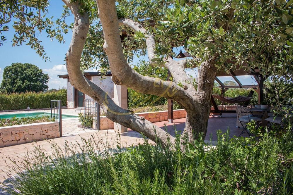 TD Casale Del Vento in the Countryside With Pool