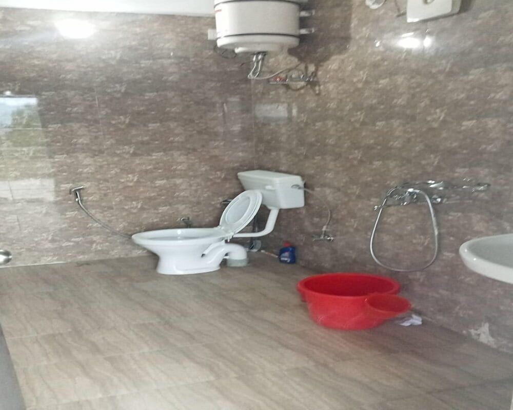 D Jungle Dabas Cottages