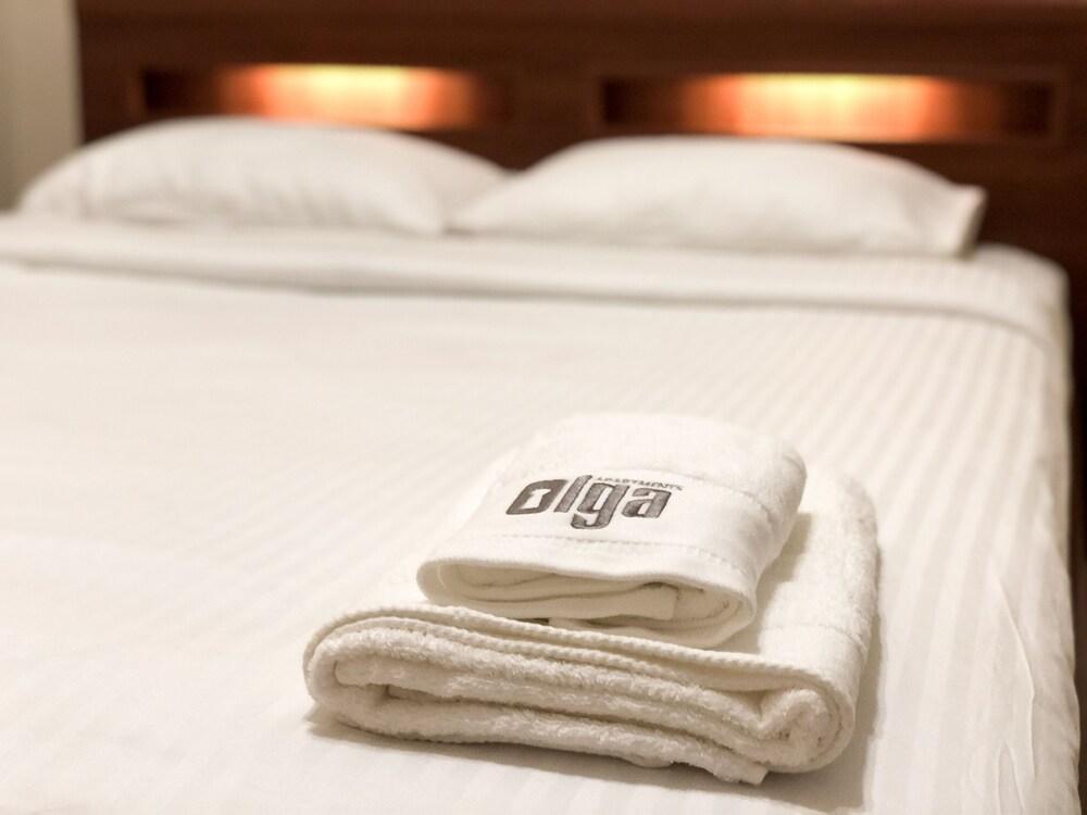 Olga Apartments on Khreschatyk