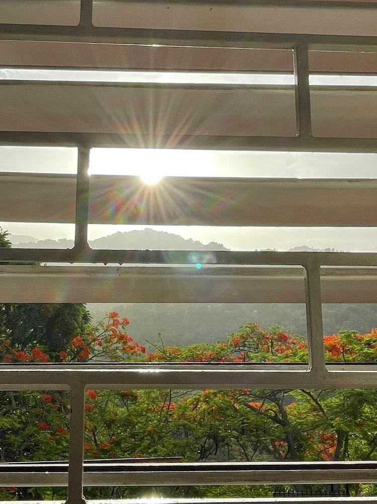 Neita's Nest - Jamaican Bed & Breakfast