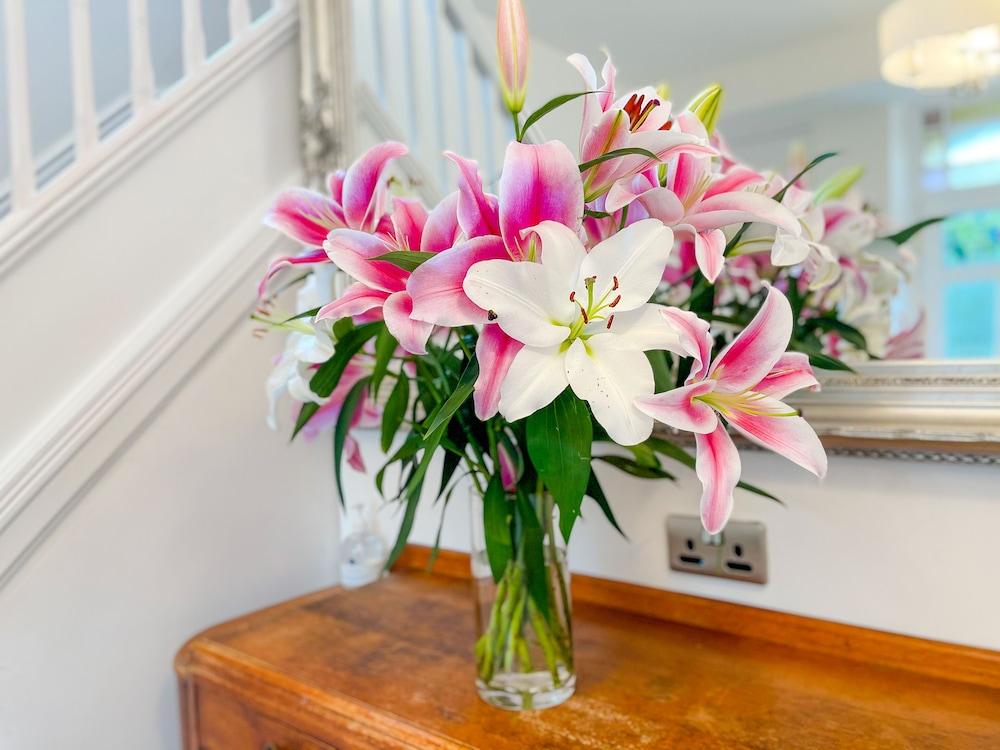 Ashfield Boutique Stays