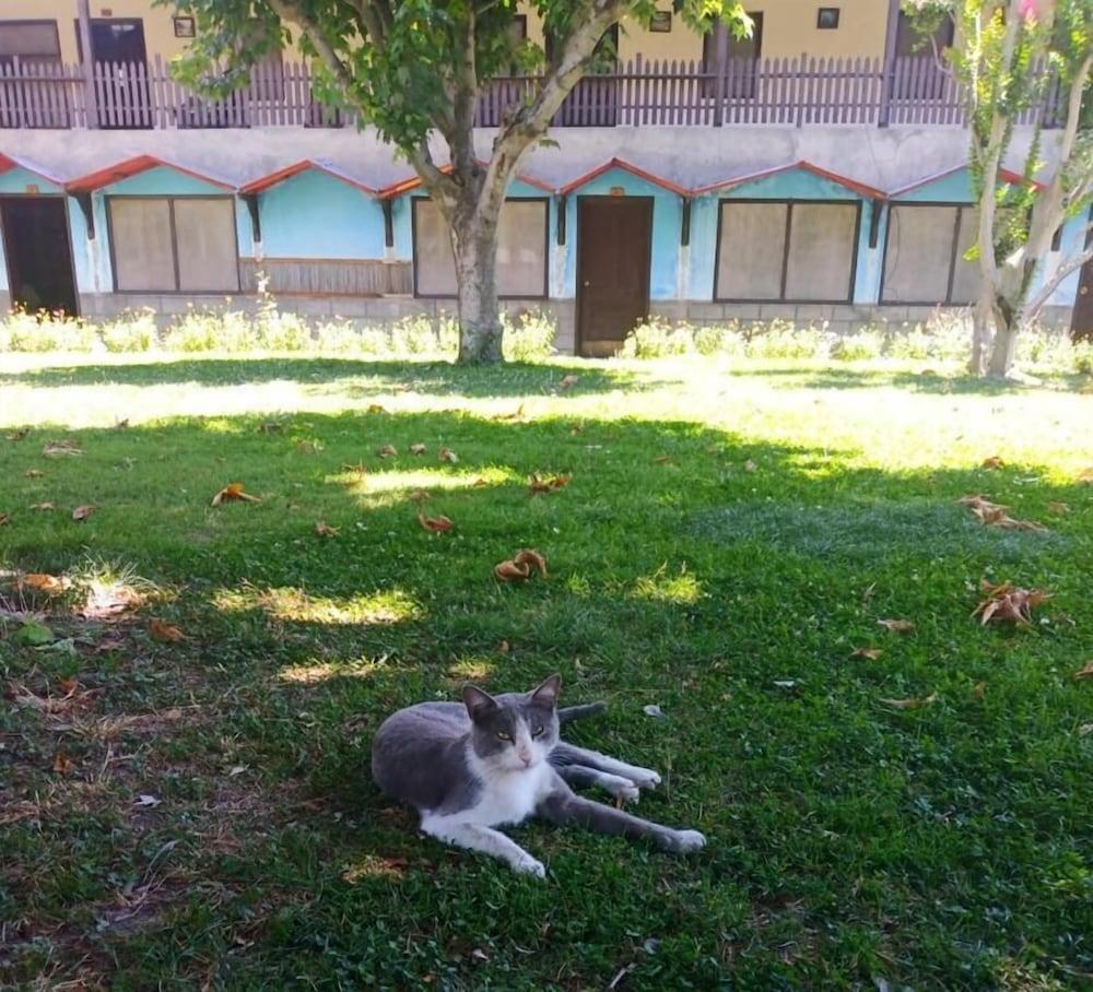 Mountain Inn Hotel Chitral