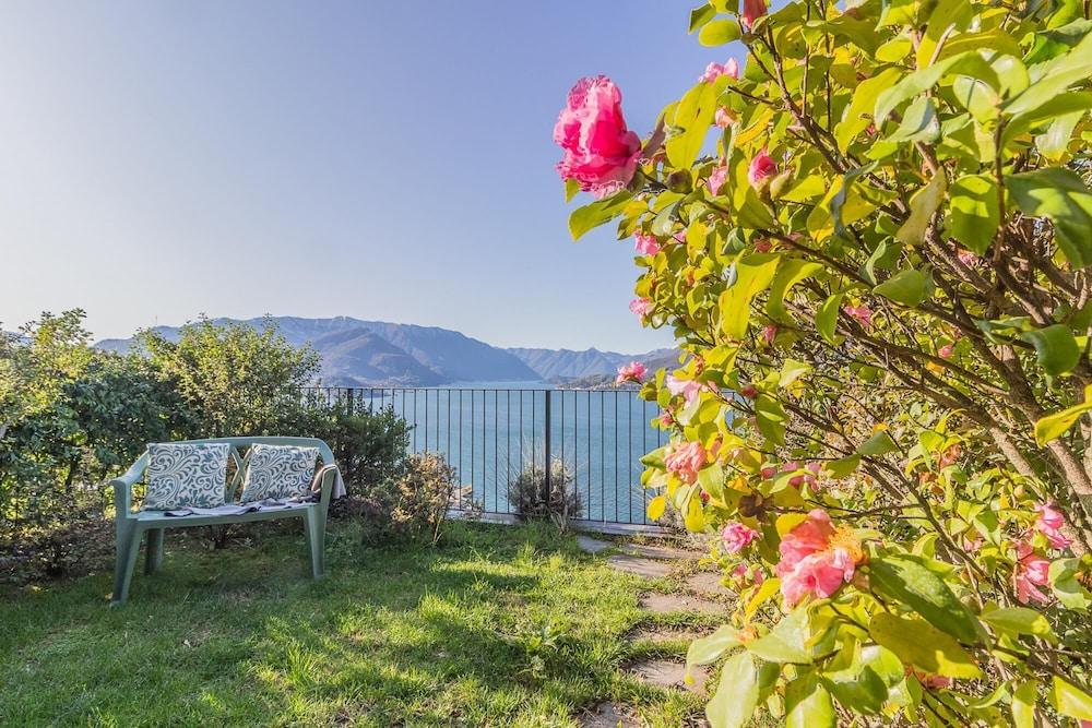 Palma Romantic Dream