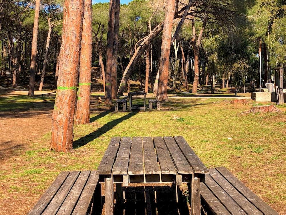 Casa Playa del Sol in Alghero