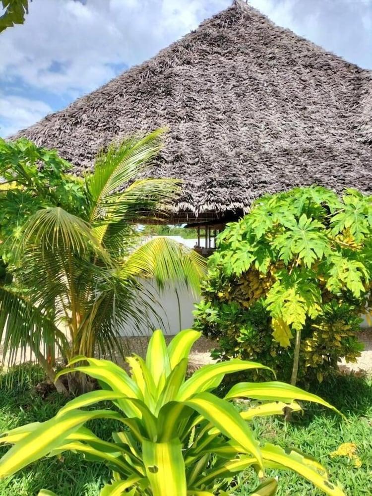 Kendwa Rasta Style Bun