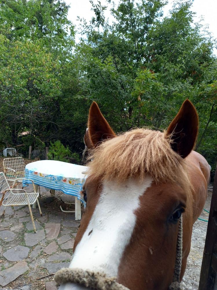 Adventure Holiday in Cilento