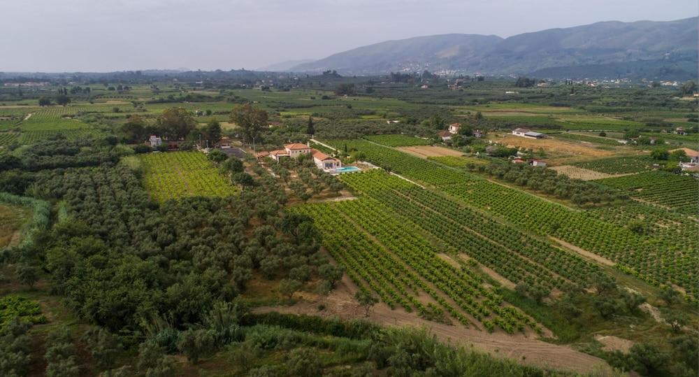 Aneli Villas - Villa Elissavet