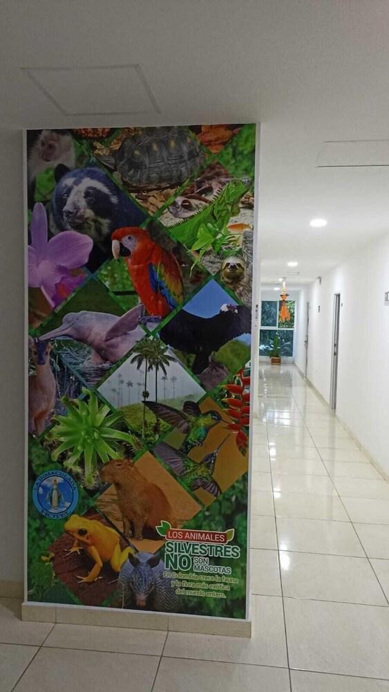 Hotel y Parqueadero la Inmaculada