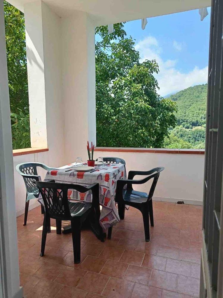 A Refuge Between Green And Blue