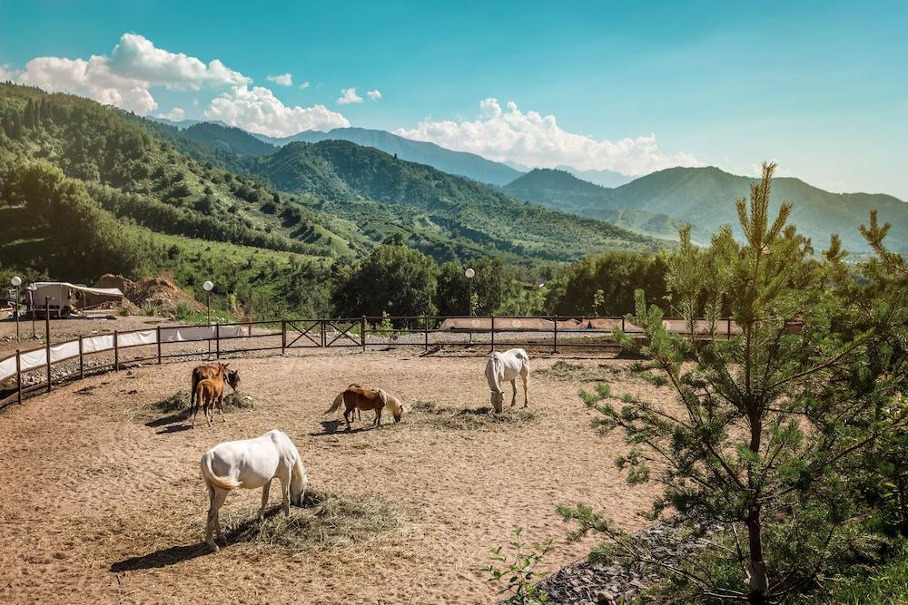 Oi-Qaragai Mountain Resort