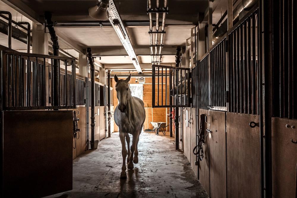 Oi-Qaragai Mountain Resort