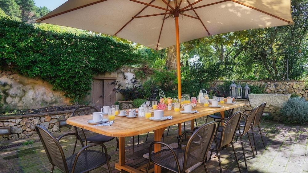 La Dama Del Bosco 8 3