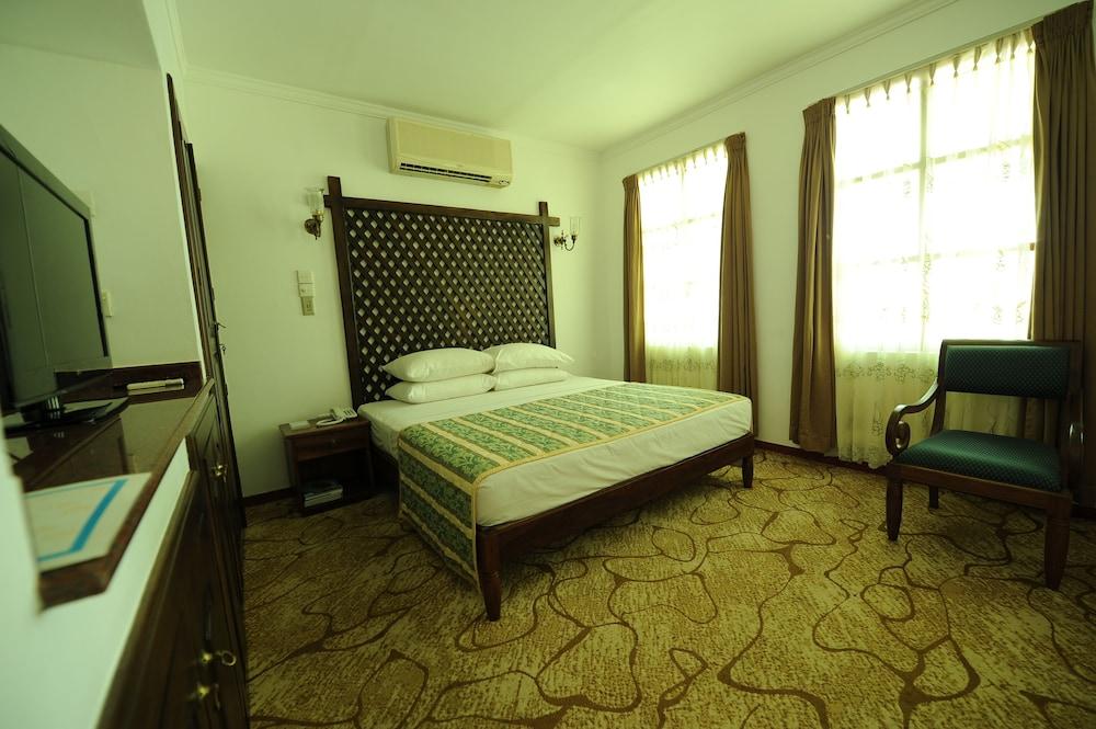 Palms, Mount Lavinia