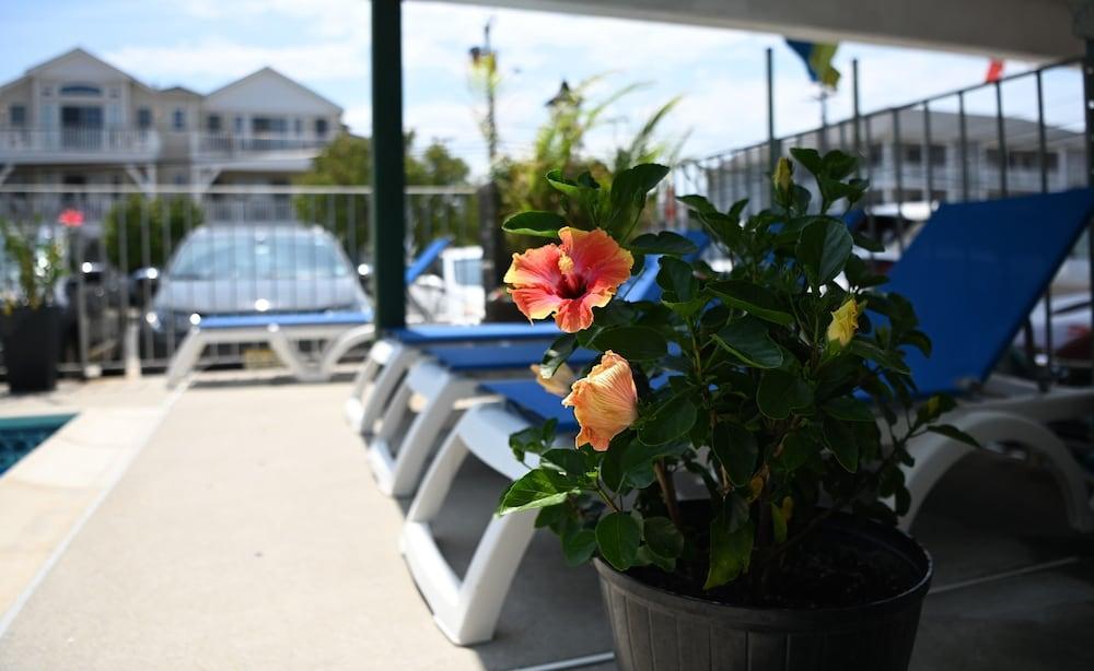 Grecian Gardens Motel