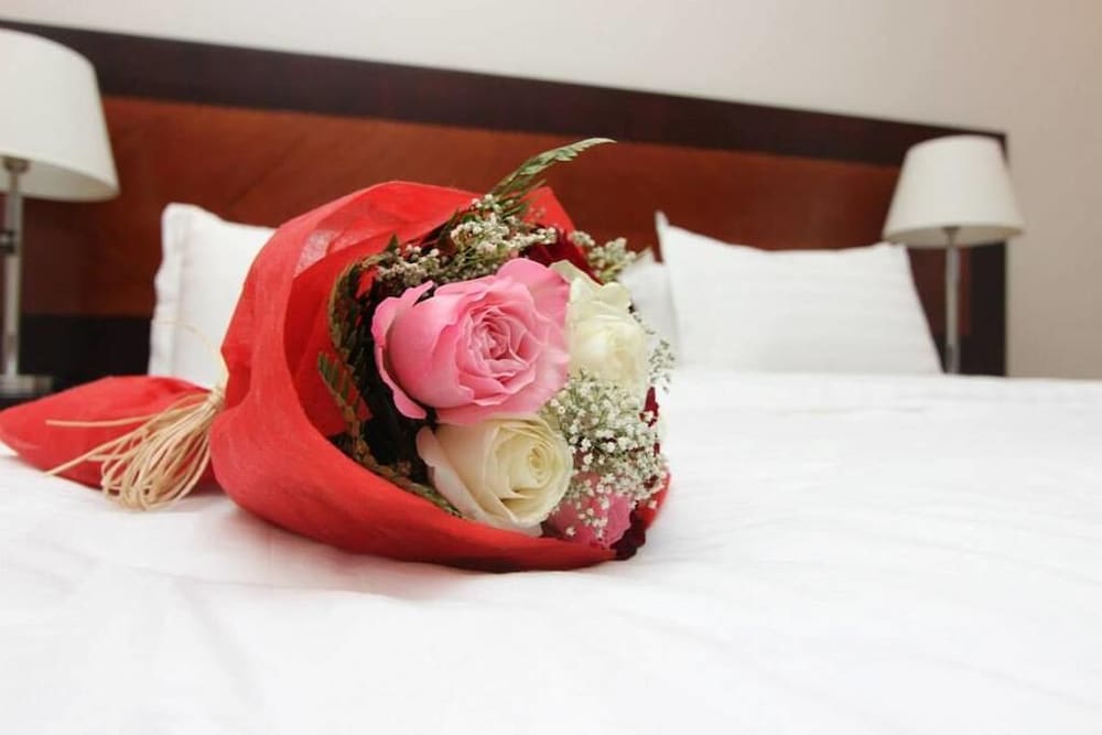 Quiet Dreams - Al-Noor Branch