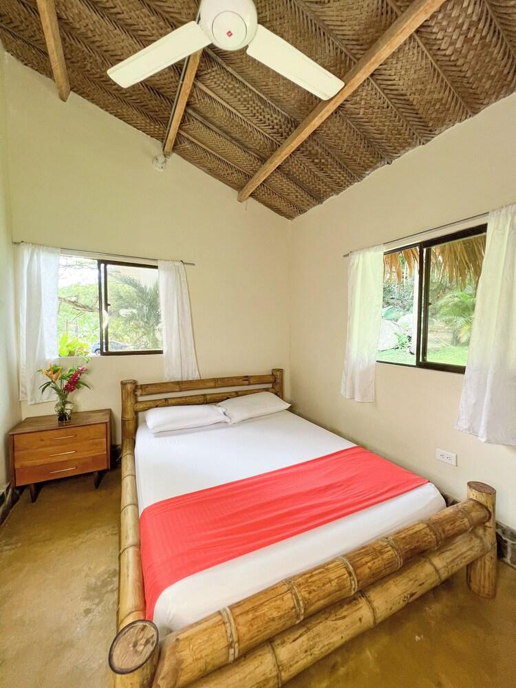 Tayrona Cachaco River