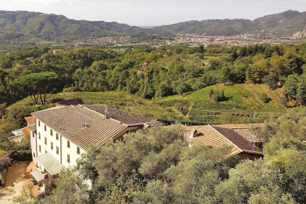 Ginepro Grillo in Camaiore