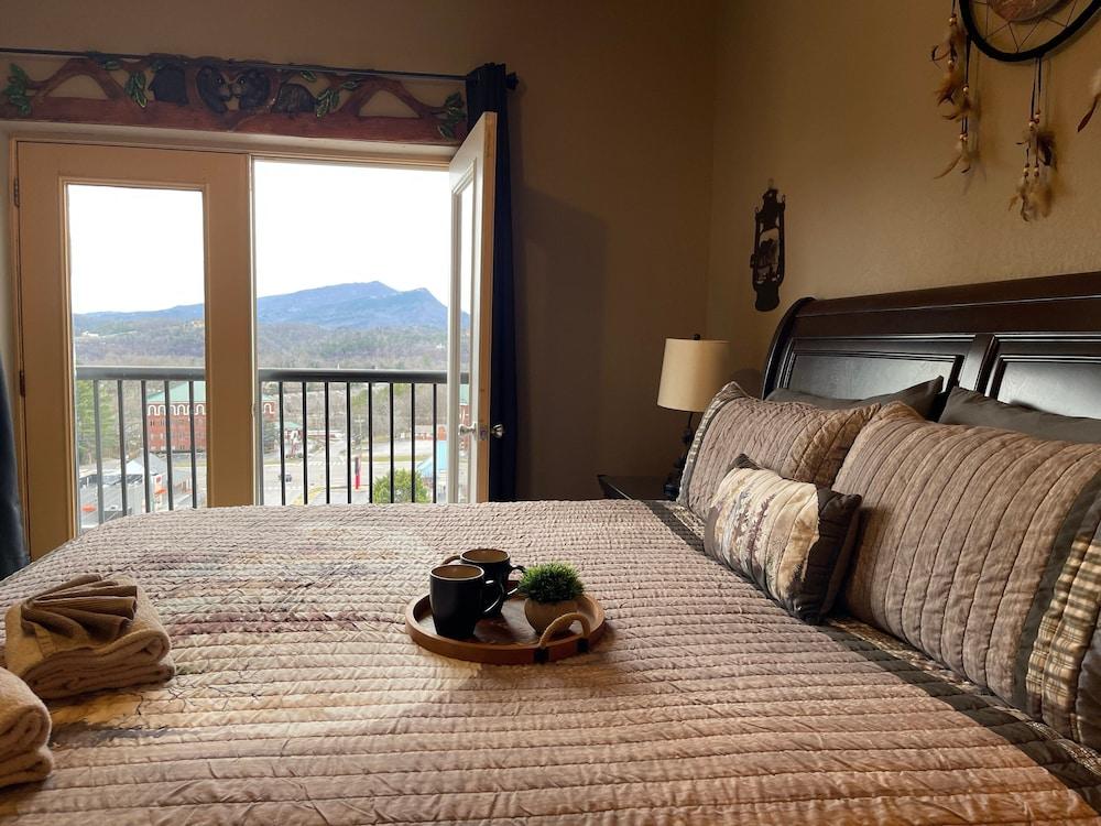 A Bear's Hibernation