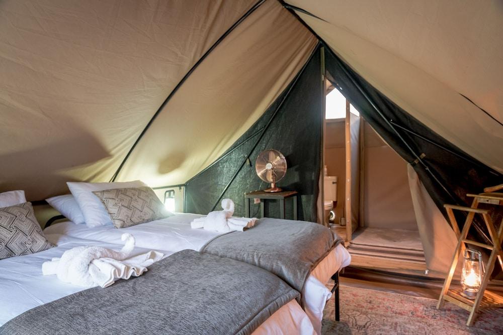 Bundox Explorer Camp