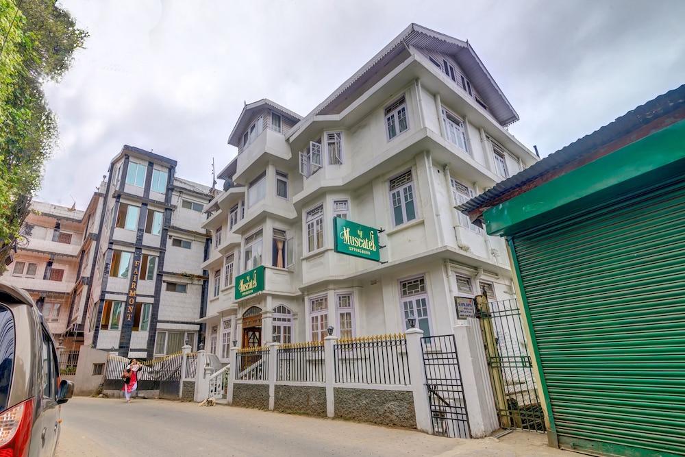 Muscatel SpringBurn - 100Mts MallRoad