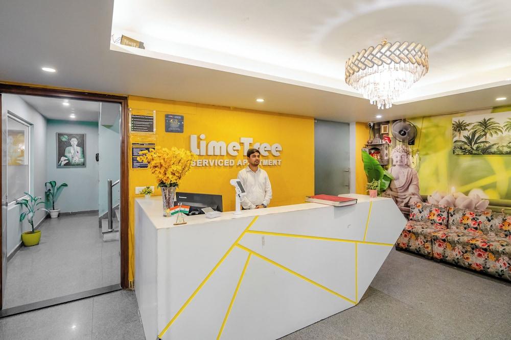 Lime Tree Luxury Studio