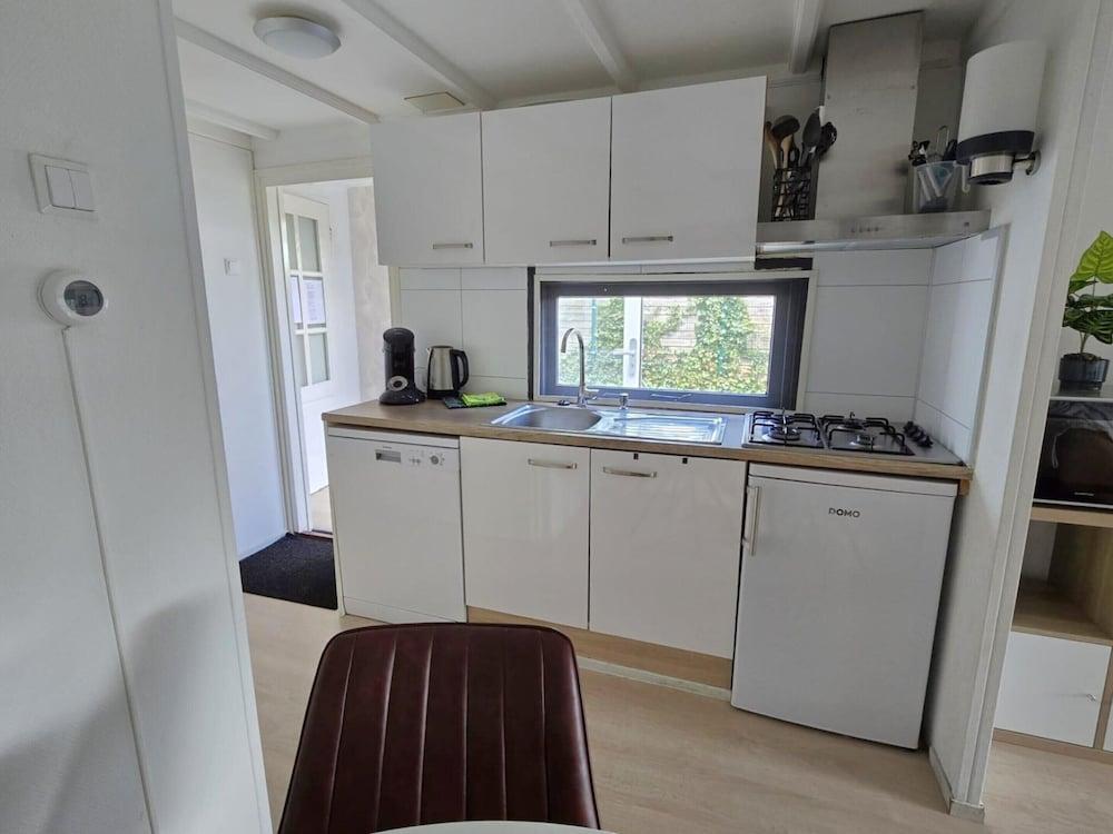 Home in the Dancing Forest