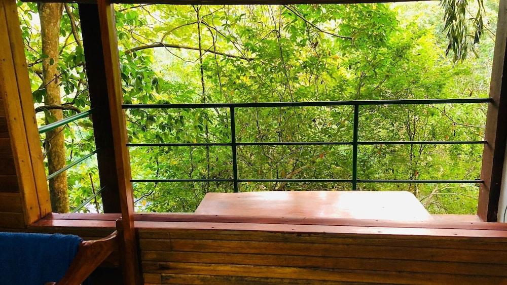 Ceylon Nature Hostel Kitulgala