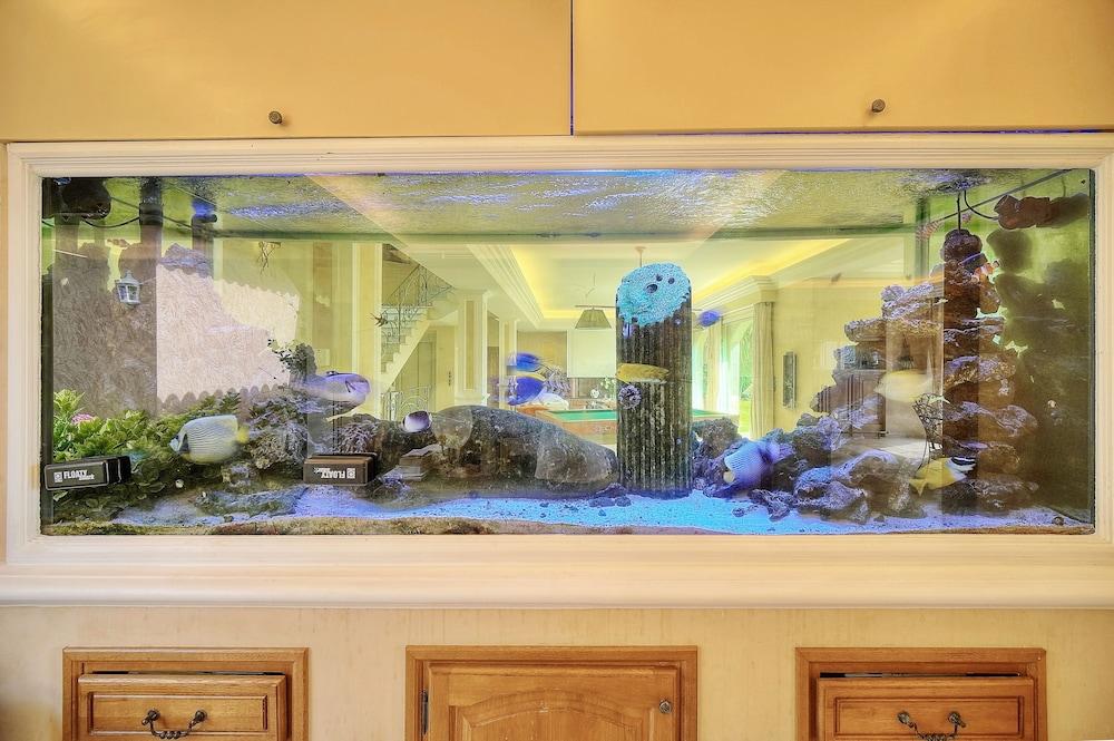 Propriété Prestige Cannes Mougins