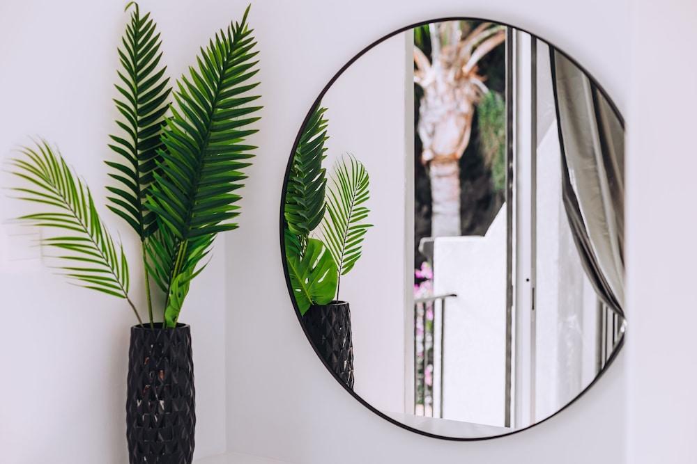 Procy 101 Ideal for Long or Short Stays