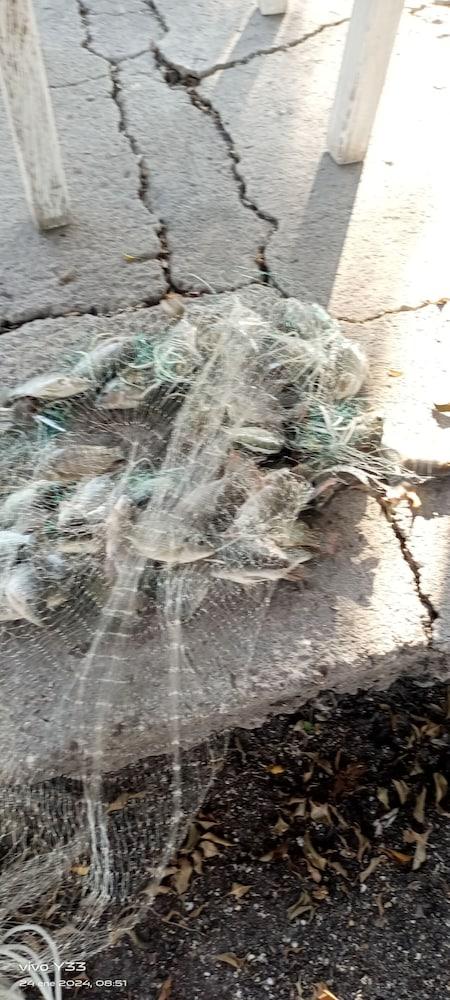 Room-hospedaje Familiar Op2