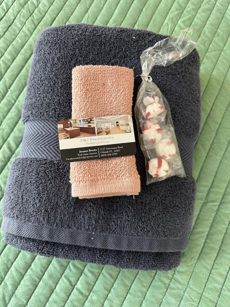 Modern Tropical Downtown Orlando