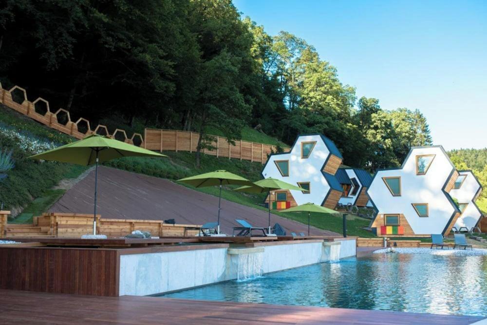 Wellness Suite Viola