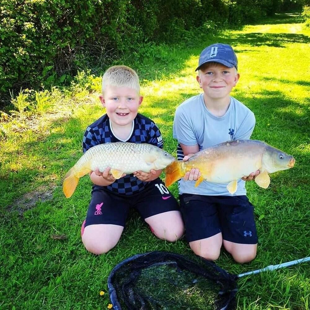 Beech Pod Cabin in Beautiful Surroundings Wrexham
