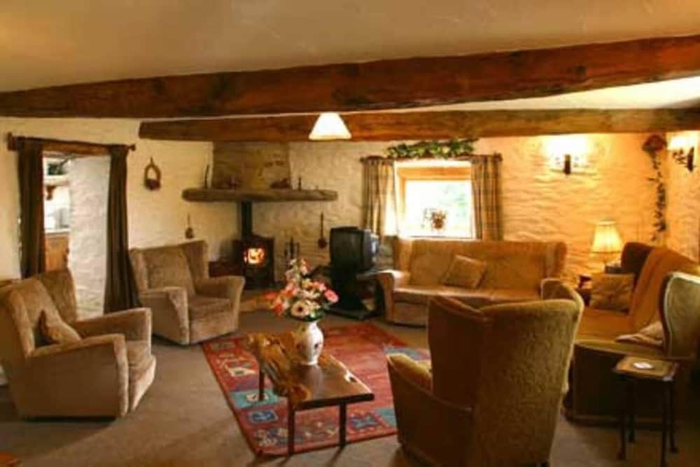 Cosy Stone Cottage on Llanllwni Mountain