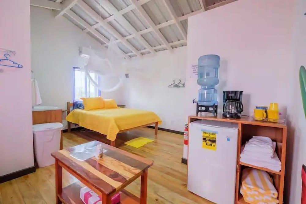 Mr. Ed's Adventures Belize