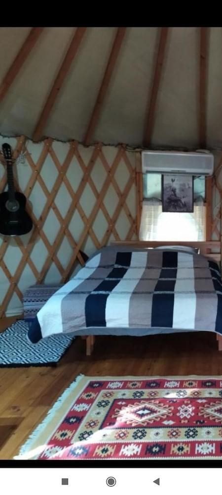 Yurt Located in a Little oak Grove