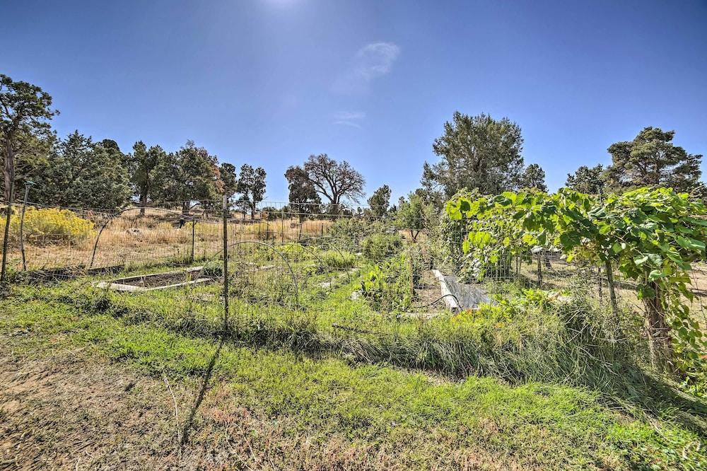 Idyllic Dolores Cabin w/ Fire Pit & Lake Views!