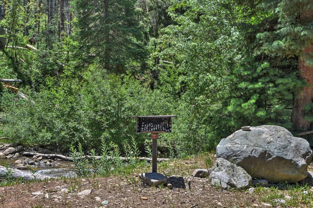 Cozy Streamside Studio - 2 Mi to Taos Ski Resort!