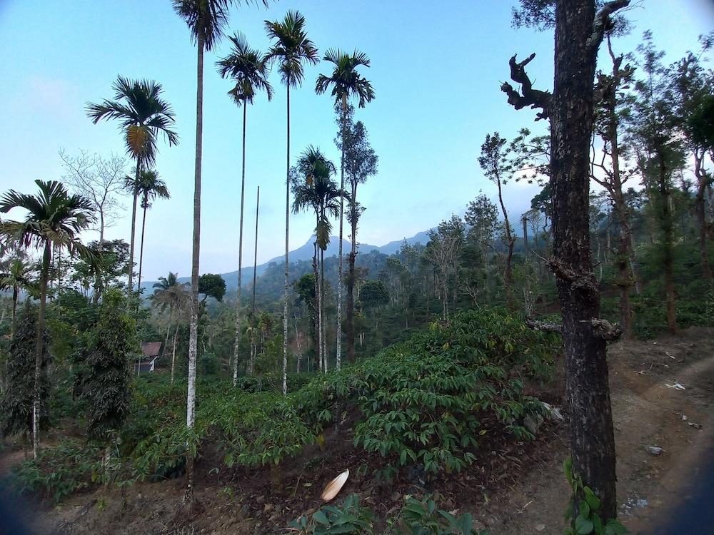 Manikkal Bungalow Uphill Cottage Large