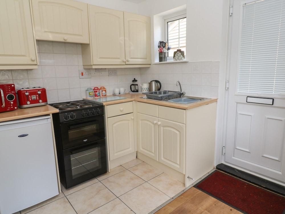 Badger Sett in Granite Henge Near Looe