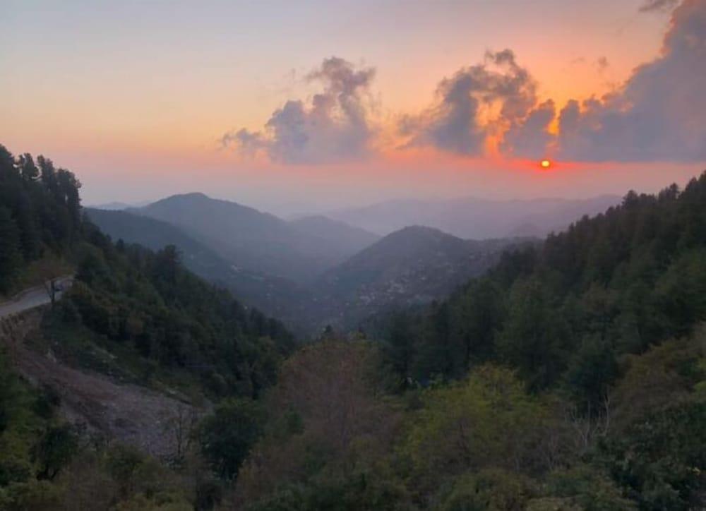 Paradise View Hotel And Restaurant